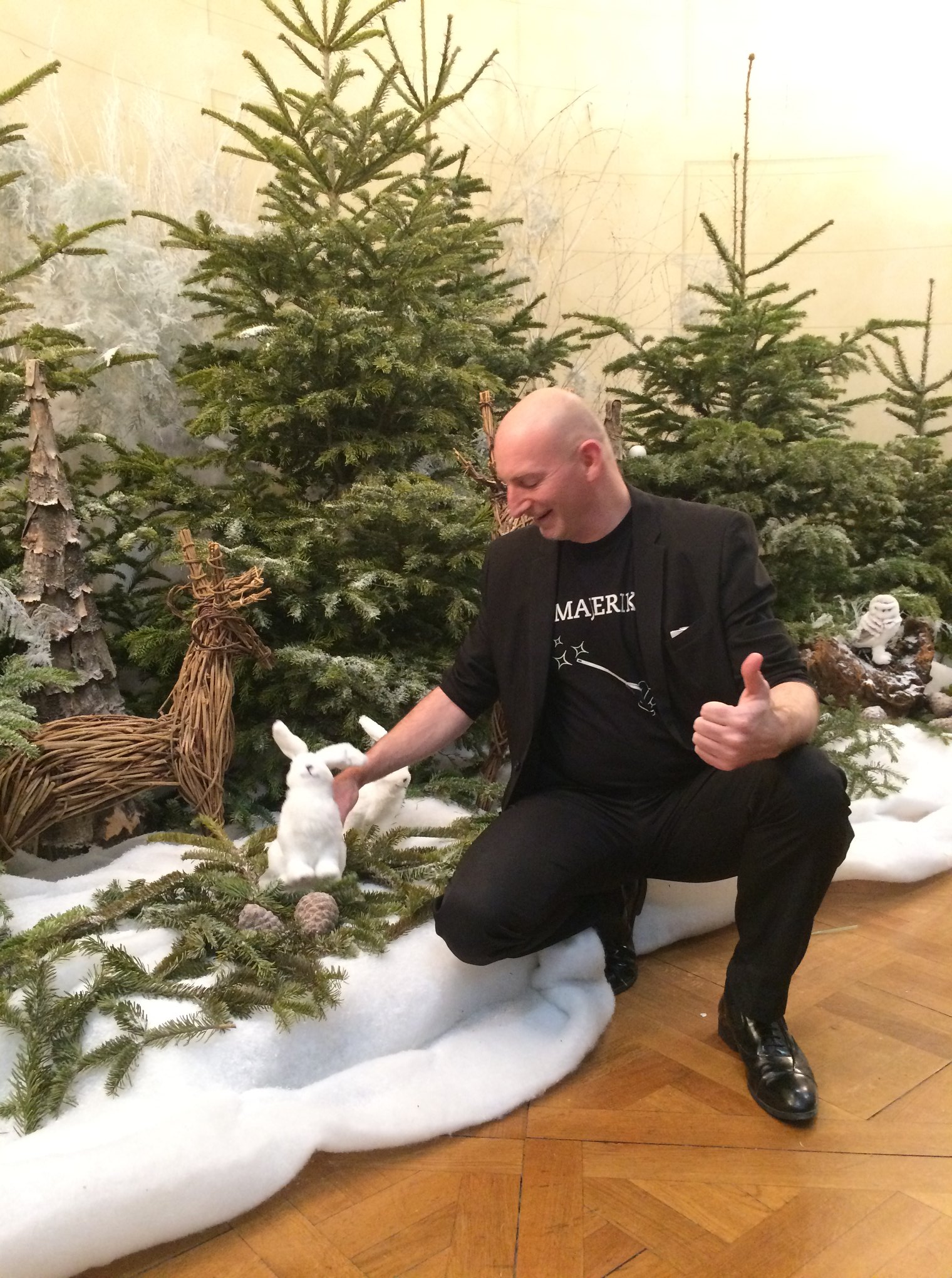 Atelier magie de Noël. Mois givré de Belfort 2018 avec Majerik Votre magicien